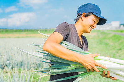 京かしわのイメージ02