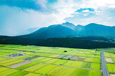 京かしわのイメージ02