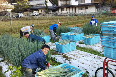京かしわのイメージ02